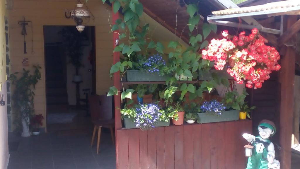 U Tri Kocek Hotel Jablonné v Podještědí Екстериор снимка